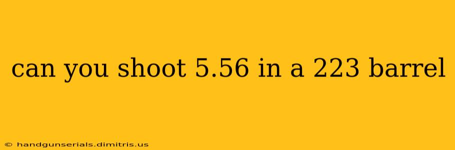 can you shoot 5.56 in a 223 barrel