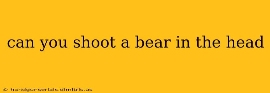 can you shoot a bear in the head