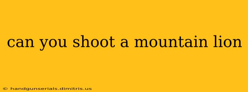 can you shoot a mountain lion