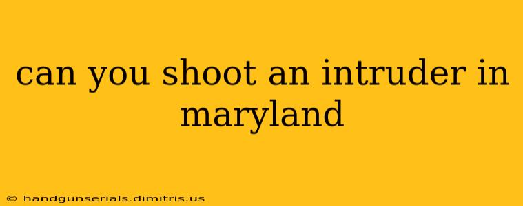 can you shoot an intruder in maryland