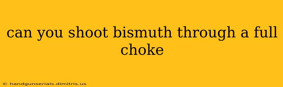 can you shoot bismuth through a full choke