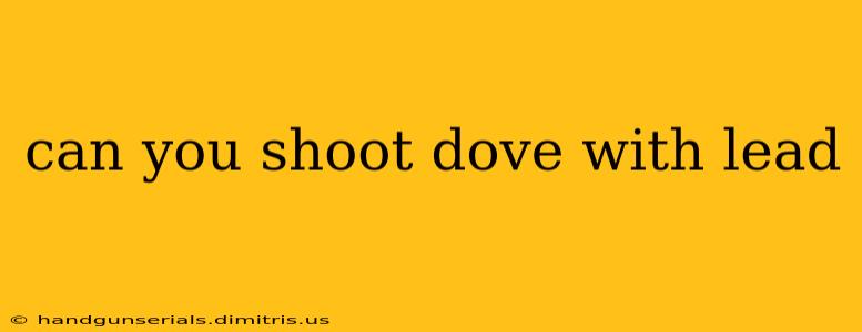 can you shoot dove with lead