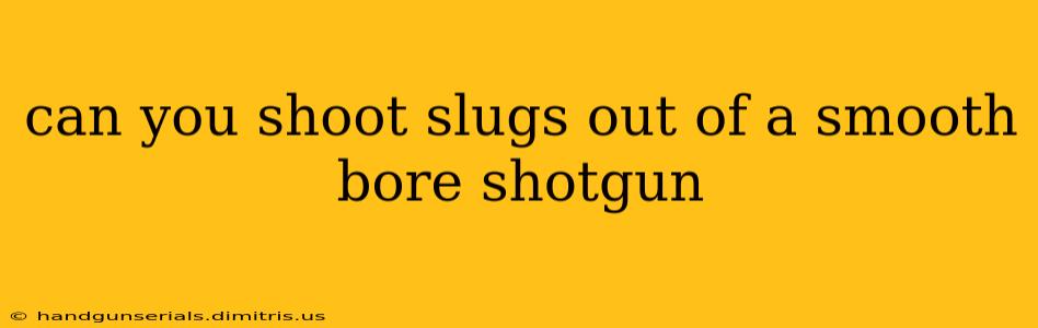 can you shoot slugs out of a smooth bore shotgun