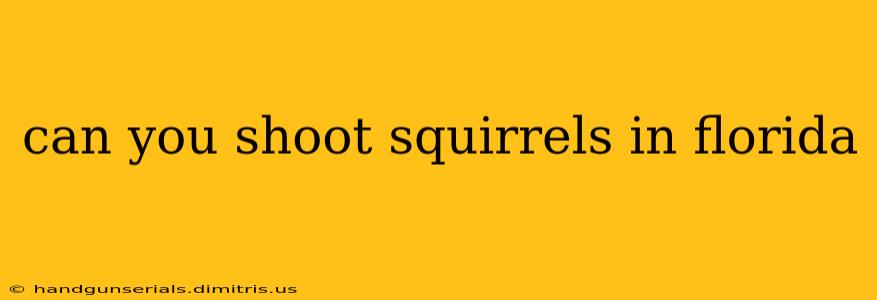 can you shoot squirrels in florida