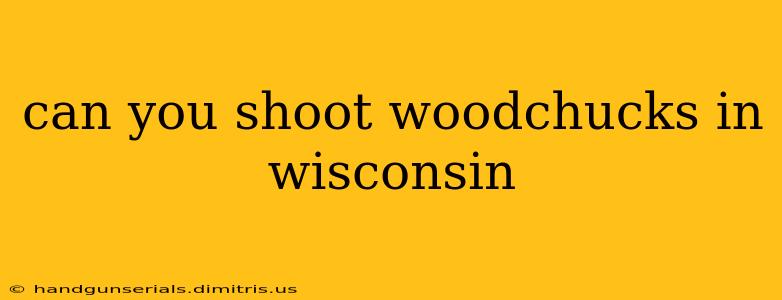 can you shoot woodchucks in wisconsin