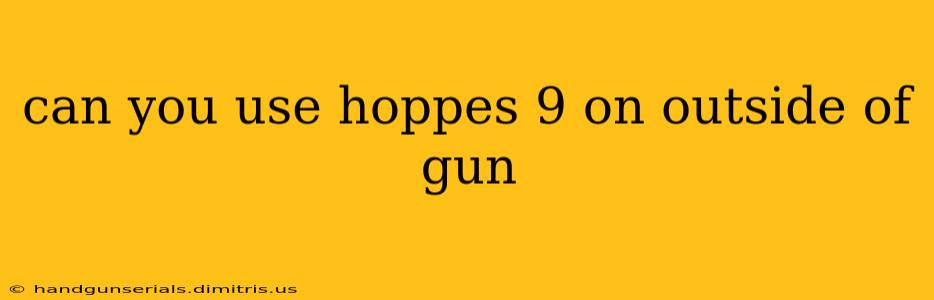 can you use hoppes 9 on outside of gun