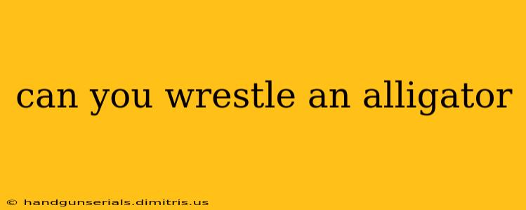 can you wrestle an alligator