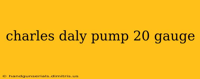 charles daly pump 20 gauge