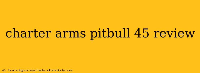 charter arms pitbull 45 review