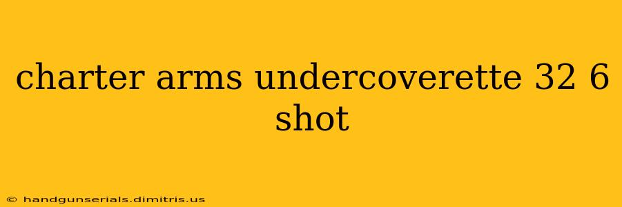 charter arms undercoverette 32 6 shot