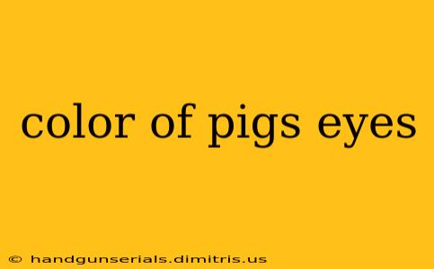 color of pigs eyes