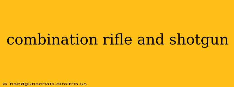 combination rifle and shotgun