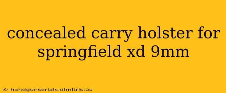 concealed carry holster for springfield xd 9mm