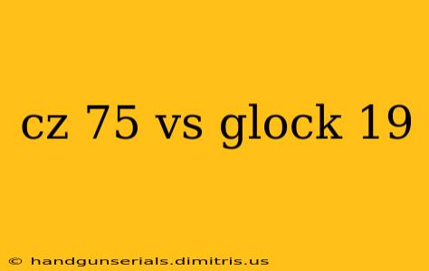 cz 75 vs glock 19