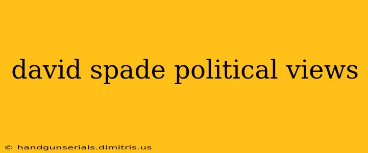 david spade political views