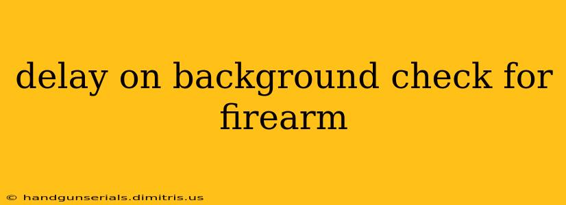 delay on background check for firearm