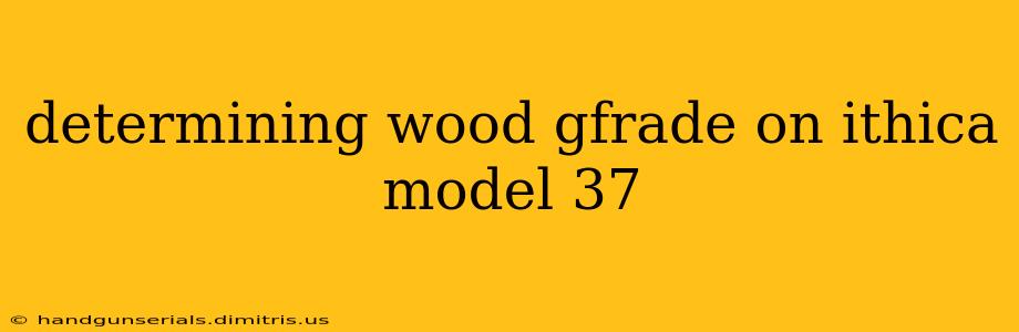 determining wood gfrade on ithica model 37