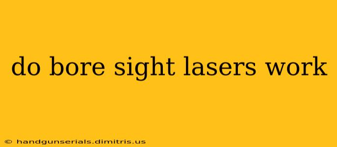 do bore sight lasers work