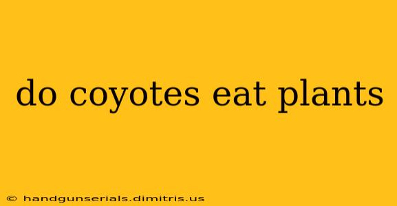 do coyotes eat plants