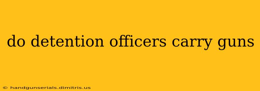 do detention officers carry guns