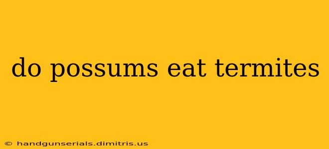 do possums eat termites