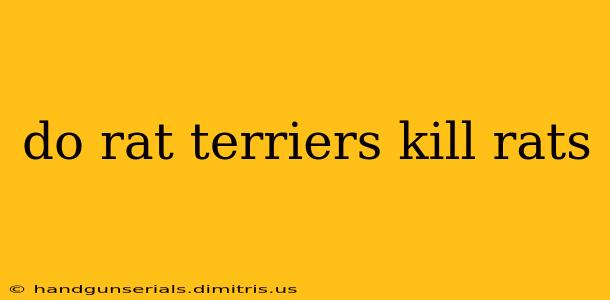 do rat terriers kill rats