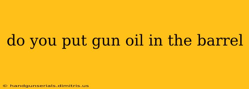 do you put gun oil in the barrel