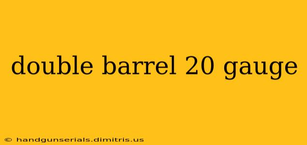 double barrel 20 gauge