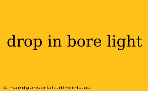 drop in bore light