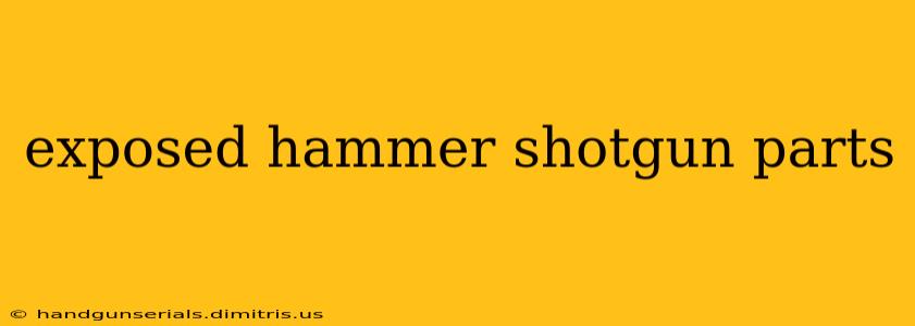 exposed hammer shotgun parts