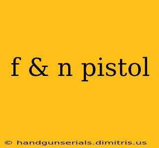 f & n pistol