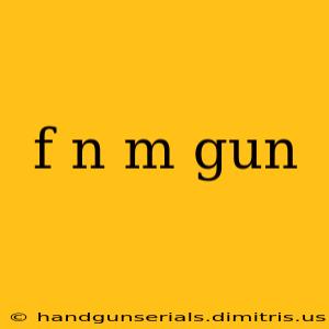 f n m gun