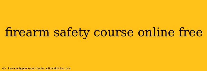 firearm safety course online free