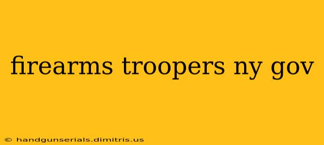 firearms troopers ny gov