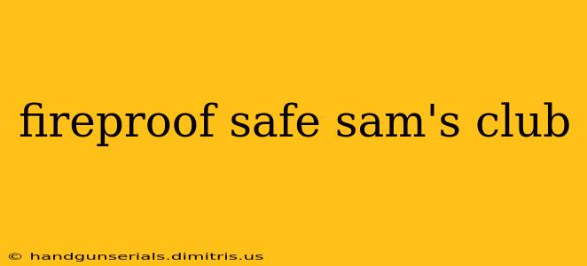 fireproof safe sam's club