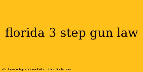 florida 3 step gun law