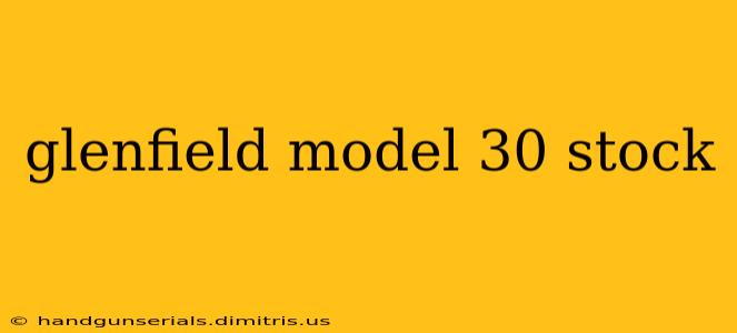 glenfield model 30 stock