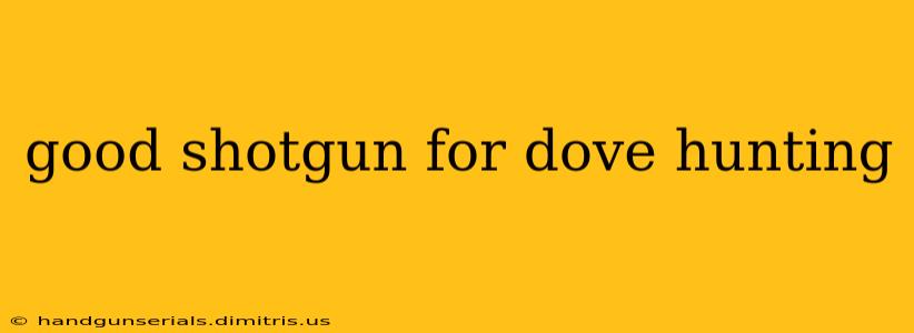 good shotgun for dove hunting