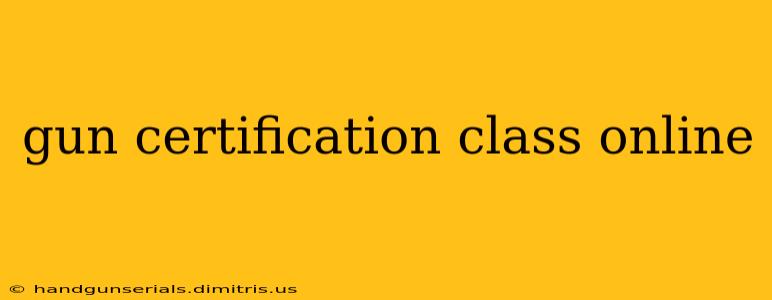 gun certification class online