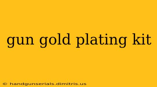 gun gold plating kit