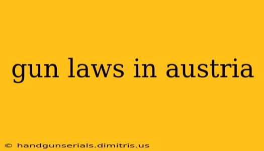 gun laws in austria