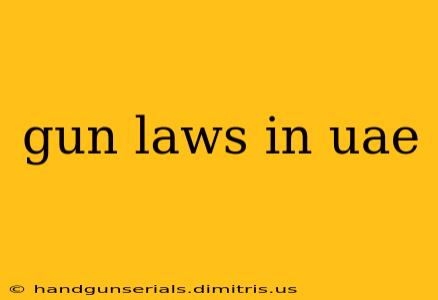 gun laws in uae