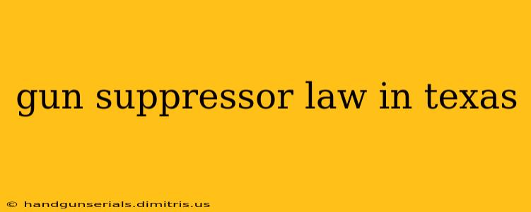 gun suppressor law in texas