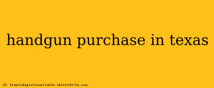 handgun purchase in texas