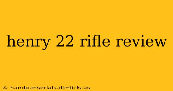 henry 22 rifle review