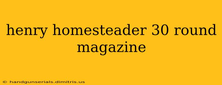 henry homesteader 30 round magazine