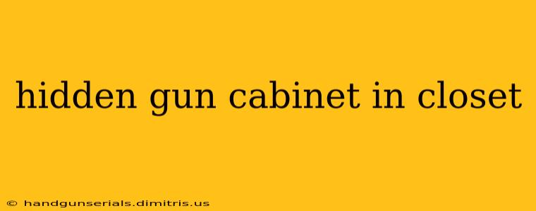 hidden gun cabinet in closet