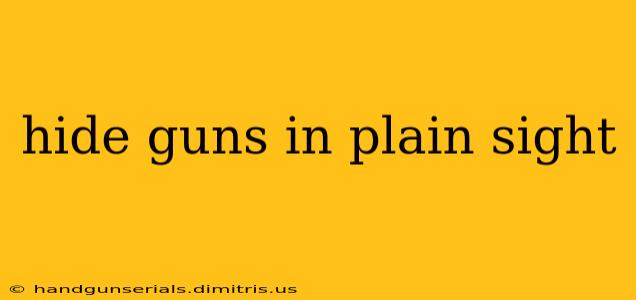 hide guns in plain sight