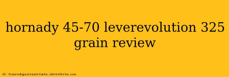 hornady 45-70 leverevolution 325 grain review