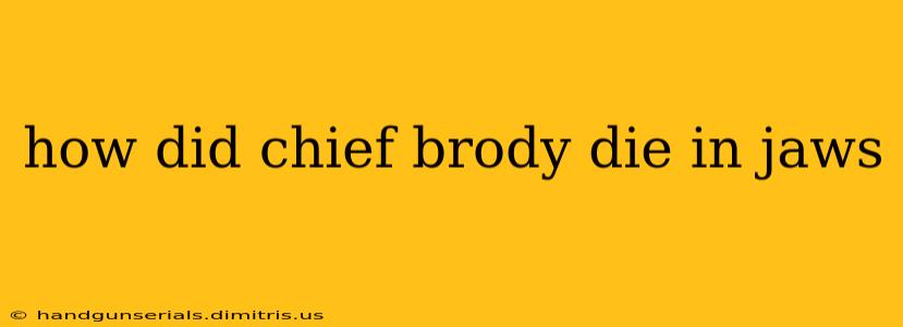 how did chief brody die in jaws